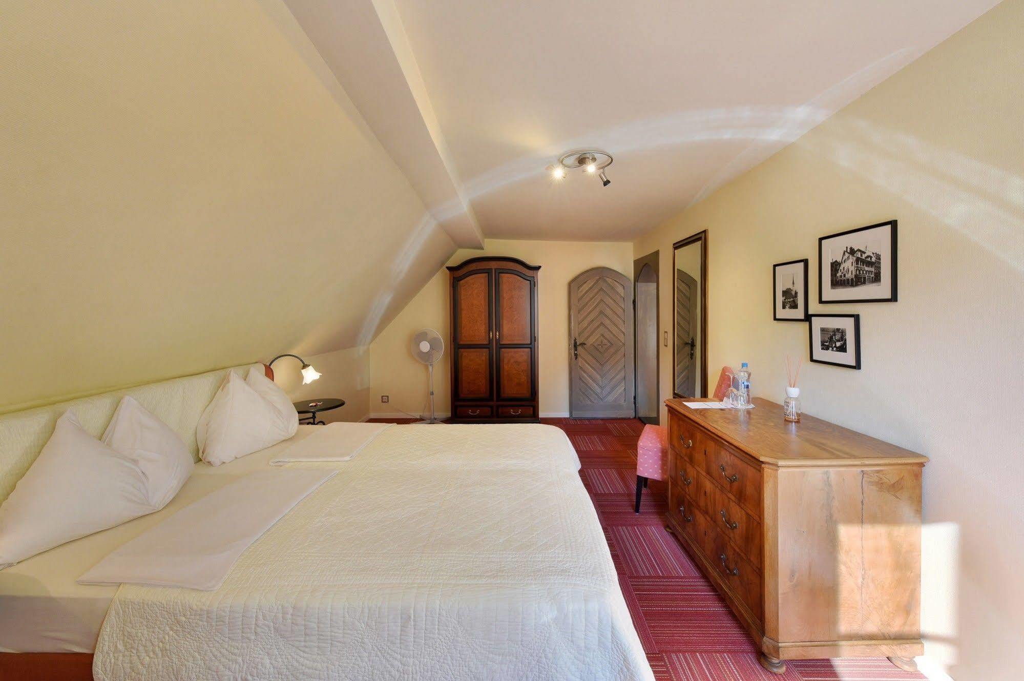 Romantik Hotel Schwan Horgen Kültér fotó